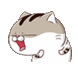 :Amimacoi: