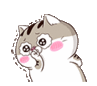 Ami shy :Amishy: :Amishy: