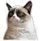 :meo: